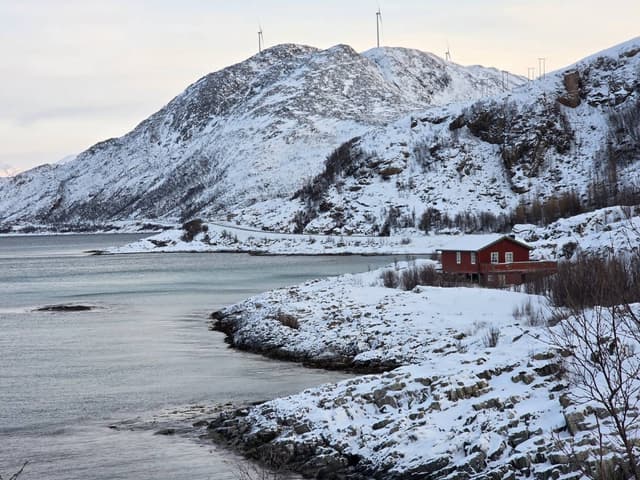 Foto 2 van Stephan S. (5-2-26)