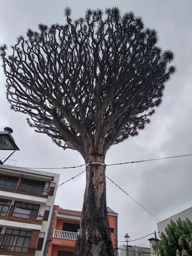 Photo 2 par Serge D. (13/03/26)