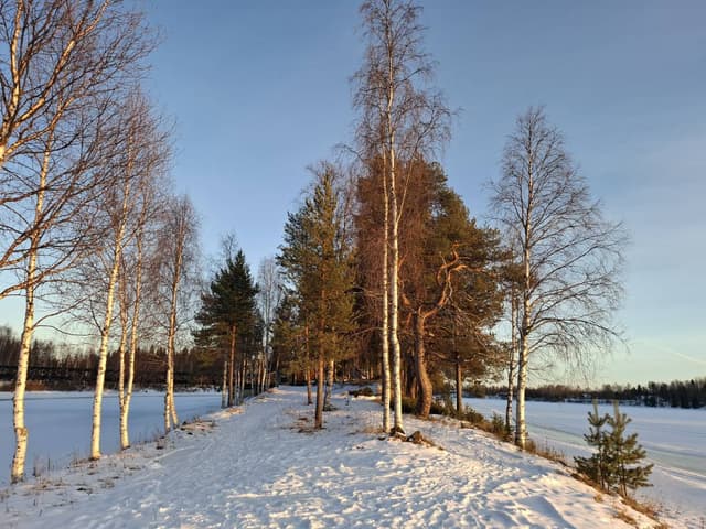 Foto 2 van Kim K. over het huren van een Volkswagen Polo op Rovaniemi luchthaven (13-3-25)
