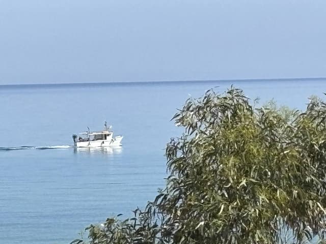 Photo 3 by Teresa B. (5/9/26)