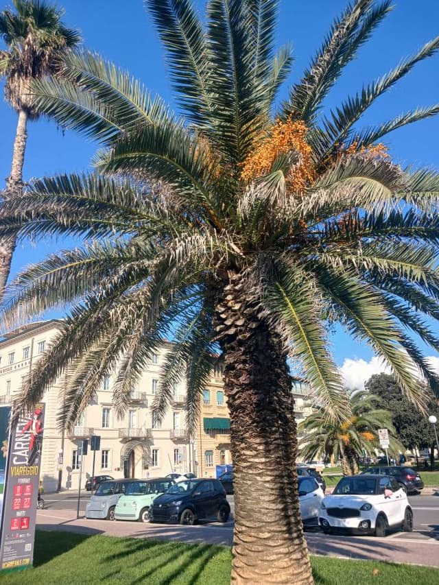 Foto 1 van Jessica S. (29-10-24)