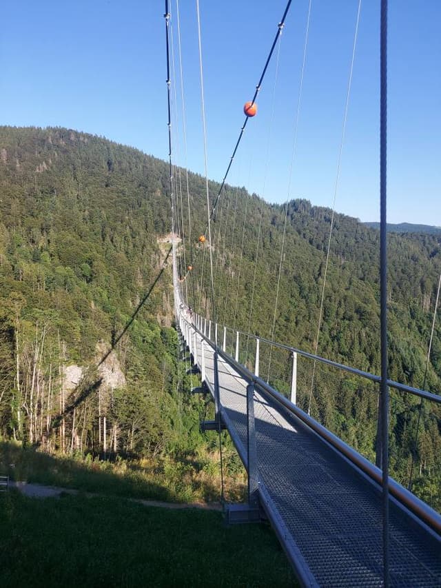 Photo 2 by Shimon A. about hiring a Skoda Kamiq at Charleroi Airport (30/08/24)