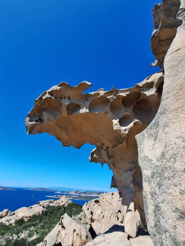 Photo 1 by Edit U. (4/13/26)