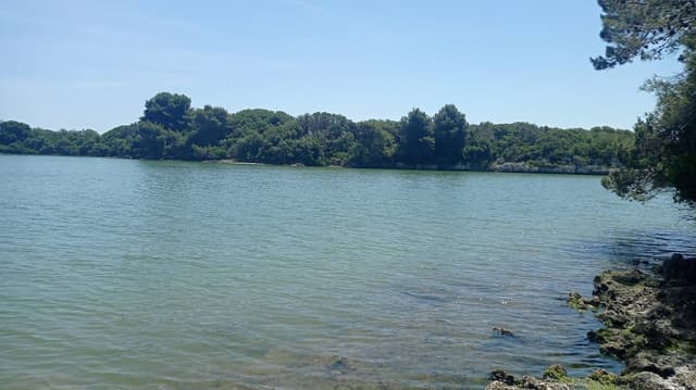 Foto 2 di Massimo C. (03/06/26)