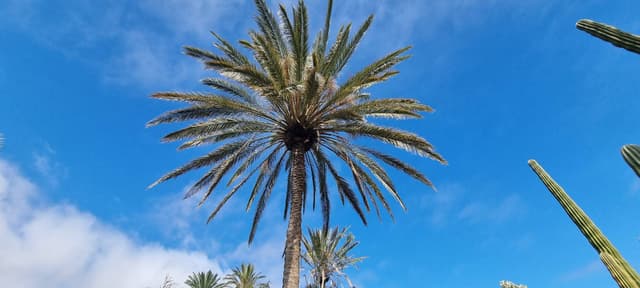 Zdjęcie 7 wykonane przez Andrzej P. (2.03.26)