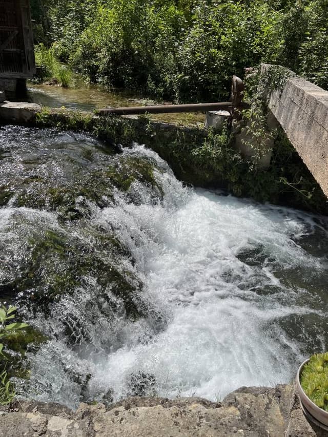 Photo 1 by Peggy F. about renting a Volkswagen Up in Dubrovnik (7/29/24)