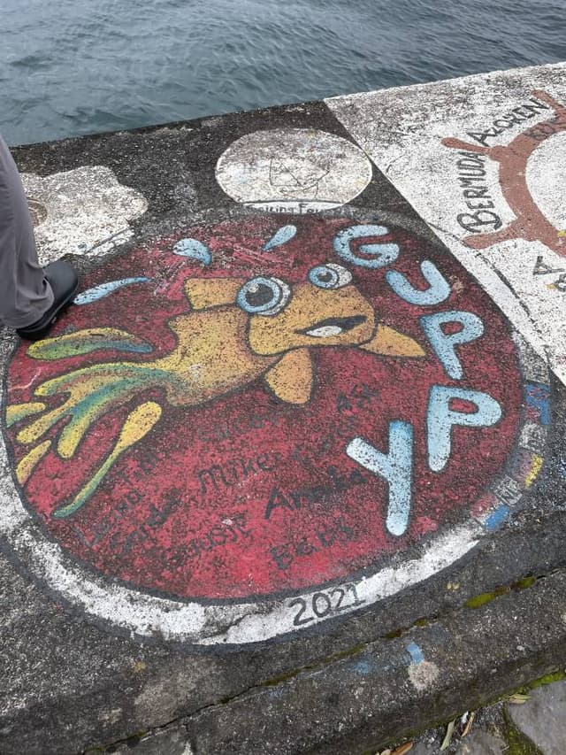 Photo 1 by Susan C. about renting a Opel Corsa in the Azores Islands (2/24/25)