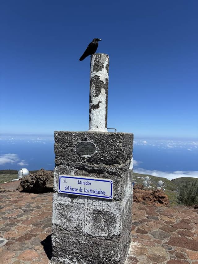 Zdjęcie 1 wykonane przez Robert D. (18.06.25)