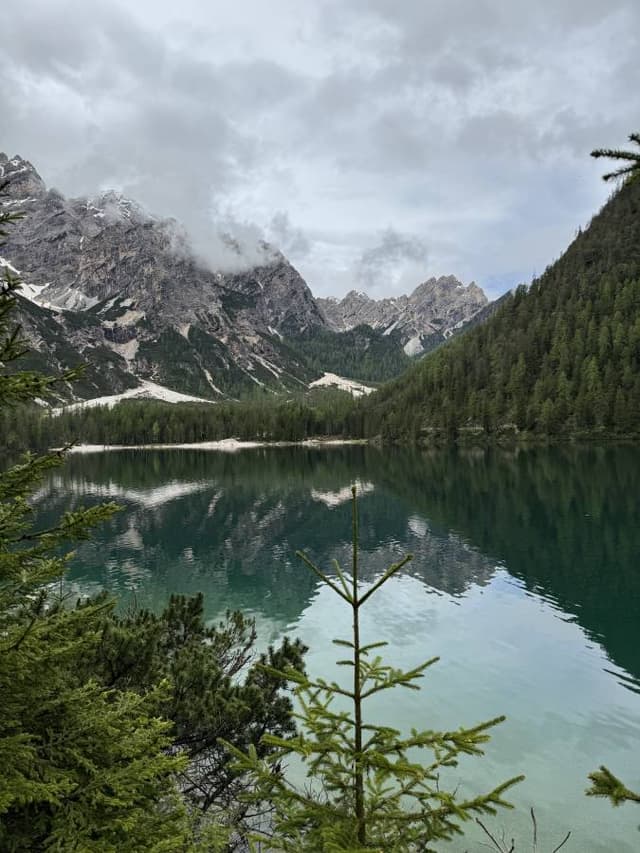 Photo 3 by nicole B. about renting a Toyota Aygo in Verona (6/8/24)