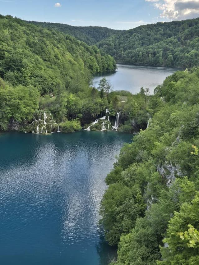 SANG YOUNG C.의 사진 1 (24. 5. 15.)