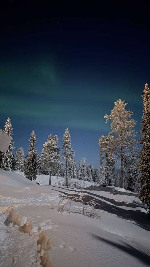 Foto 3 de Vanessa Angelica J. (10/1/26)