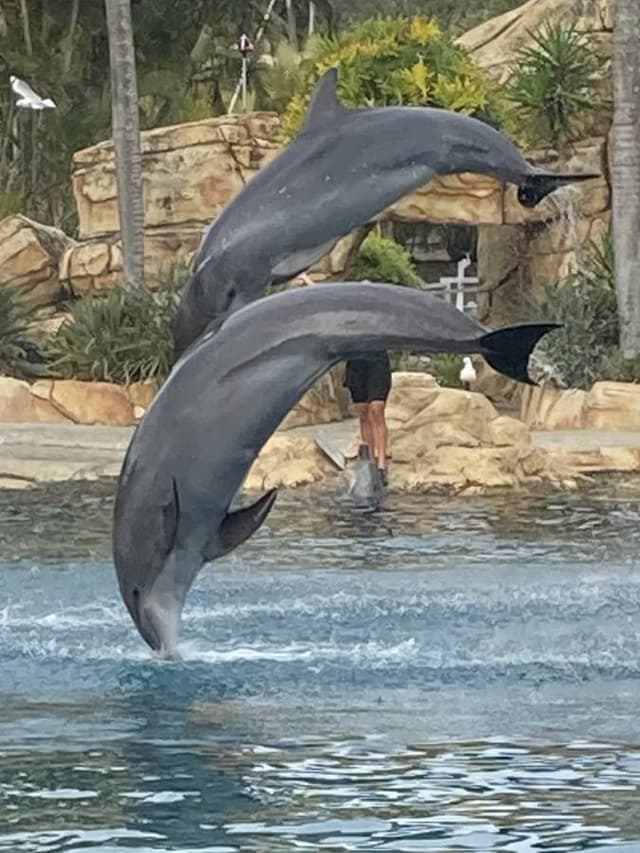 Photo by Antony M. about hiring a MG 3 in Gold Coast (23.08.22)