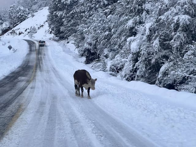Photo by Kevin M. about renting a Renault Duster in Bariloche (8/22/22)