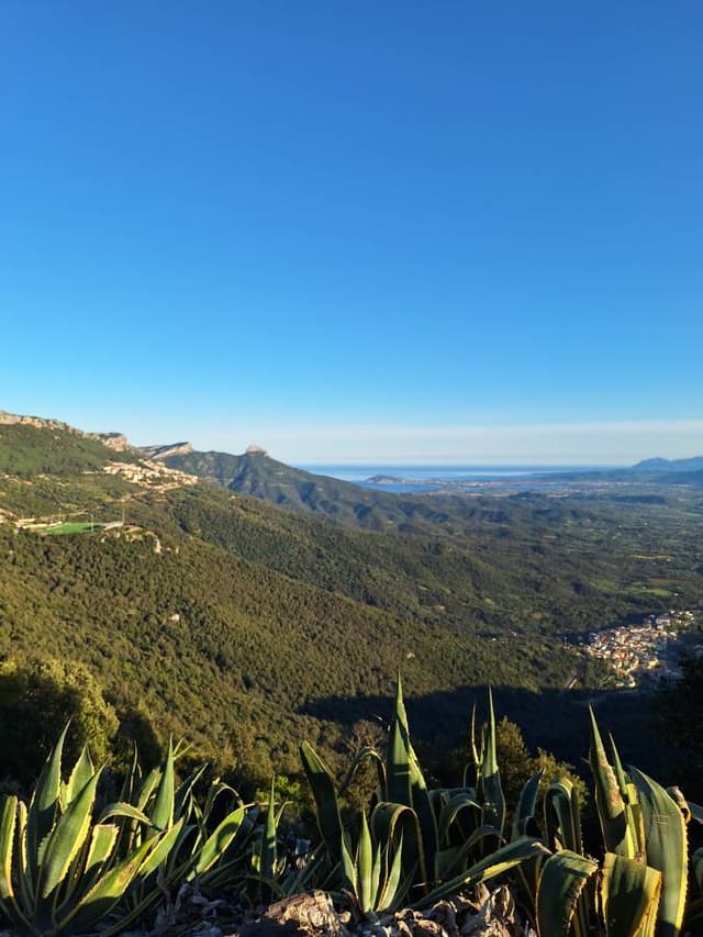 Photo 2 by Edit U. (4/13/26)