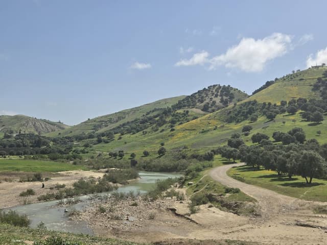 Photo 3 par PIERRE M. (11/04/26)