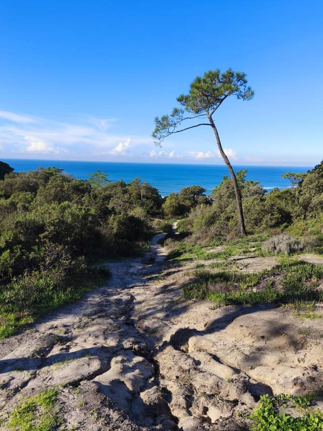 Photo 1 par Mme F. (29/12/25)