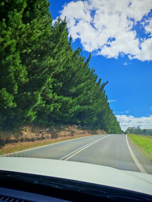 Photo 2 by JORGE P. (2/22/26)