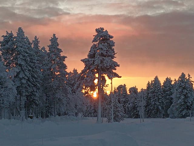 Foto 1 van Matheus Marinus Jozef E. (22-1-26)