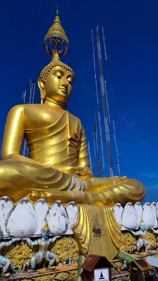 Foto 4 von Claudia D. (12.1.24)