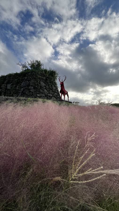 Foto 2 de Adriana Itou Pinheiro de Oliveira A. (16/10/25)