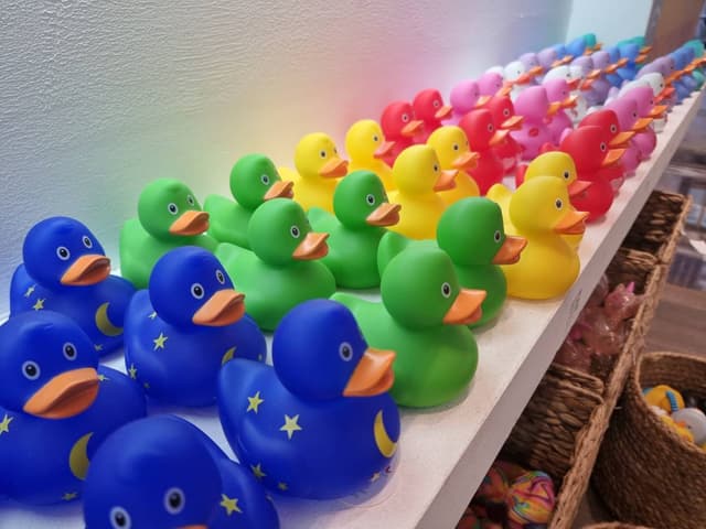 Billede af Karsten S. (8.9.24)