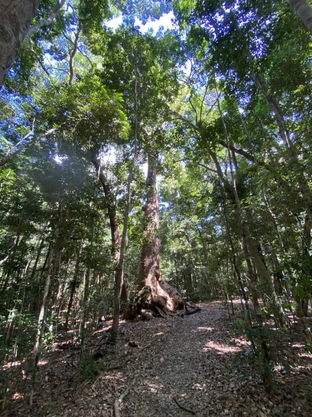 Photo 2 by Poul Erik Winther J. about renting a Kia Cerato in Brisbane (3/17/25)