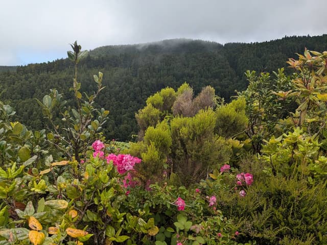 Photo 5 by Trent T. about hiring a Kia Rio at Ponta Delgada Airport (13.07.25)