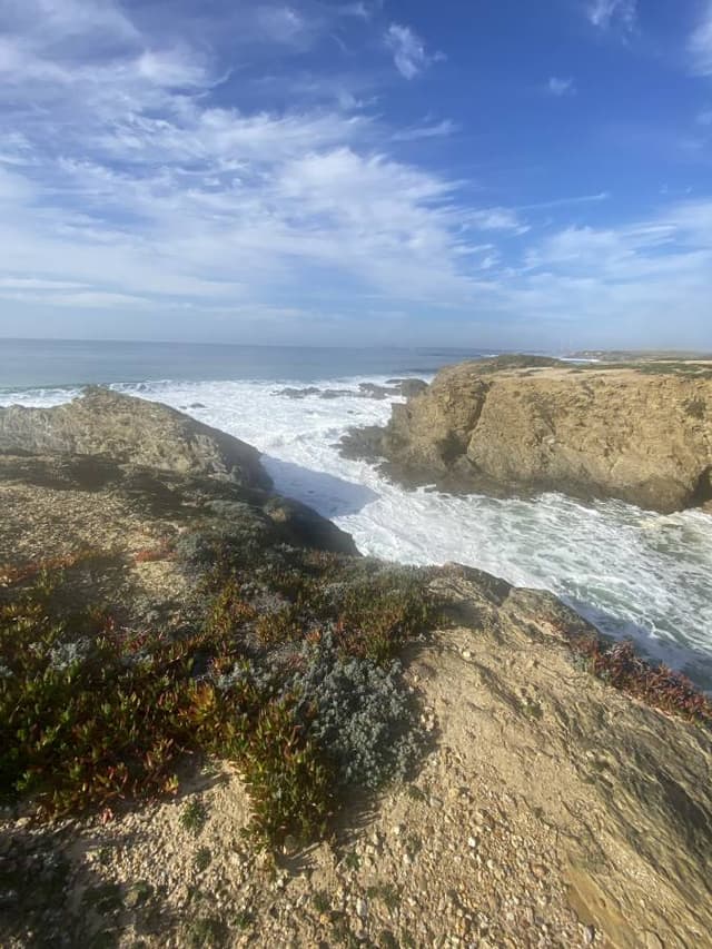 Photo 2 by Eon B. (2/12/24)