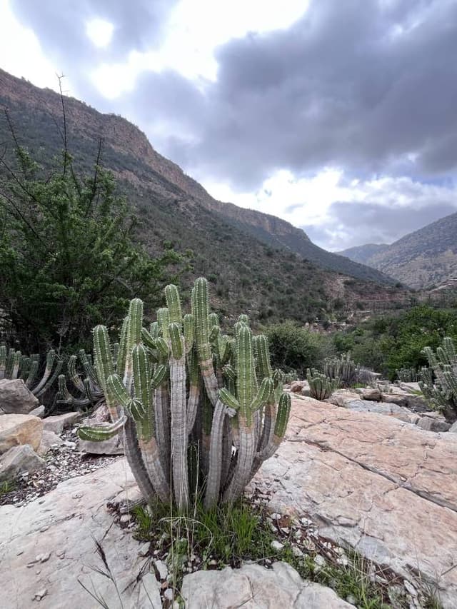 Photo 4 by Joanna K. (2/7/26)