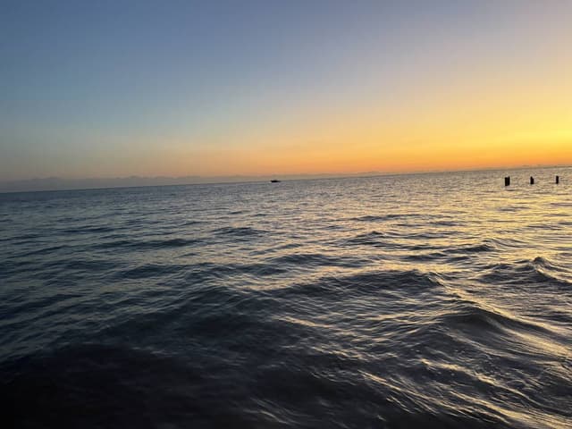 Photo 1 by Masika H. (1/4/26)