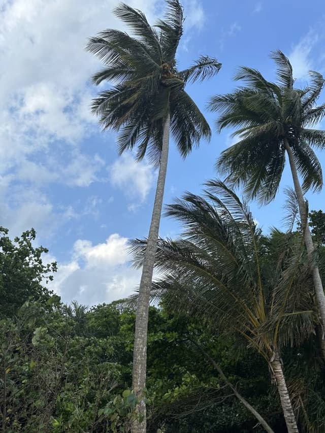 Photo 2 by Lilian M. about renting a Ford Everest in Cairns (11/5/23)