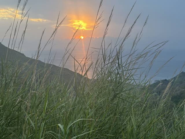 Foto 3 van Martijn L. (13-3-26)