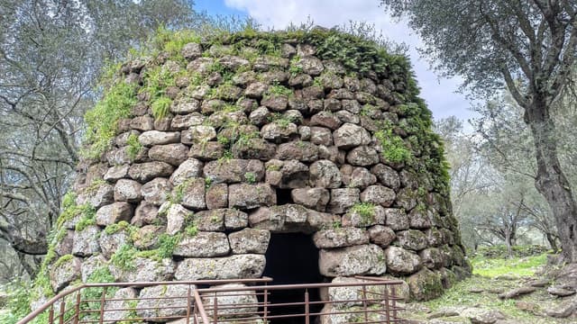 Laszlo E. 4. számú fényképe (26. 03. 20.)