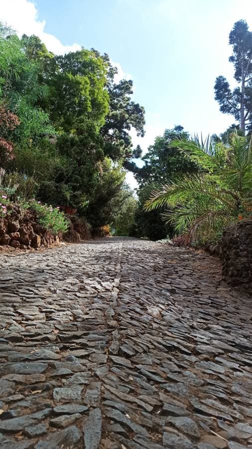Foto 2 de CLARA S. sobre o aluguer de um Volkswagen Polo em Madeira (23/09/24)