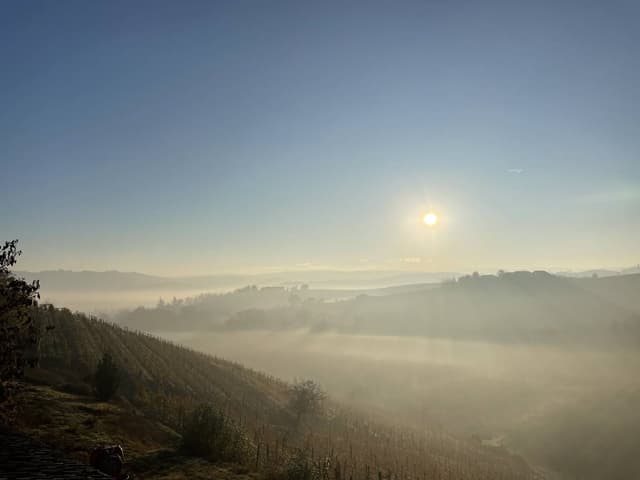 Photo 1 by Tymofii S. about renting a Fiat 500 in Bergamo (2/2/25)