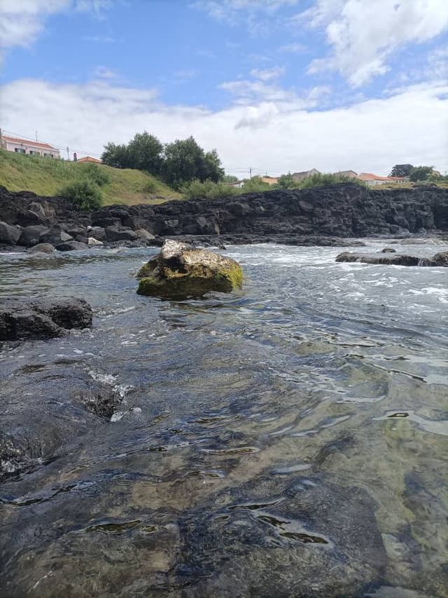 Foto 3 de Monica F. sobre o aluguer de um Citroën C3 em Portugal - no arquipélago dos Açores (25/07/24)
