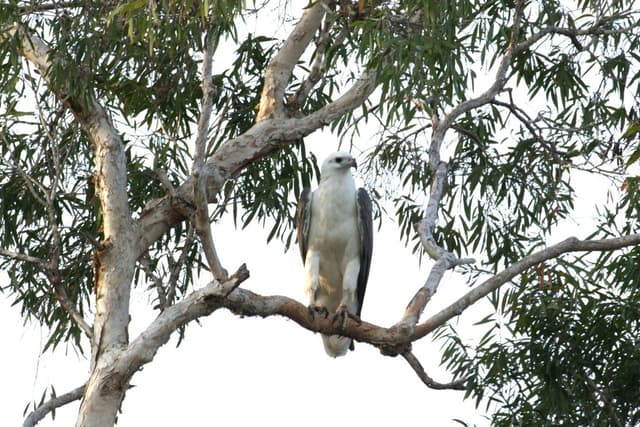 Photo 2 by Caroline S. (6/1/23)