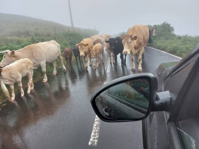 Foto 1 de Antonio G. sobre o aluguer de um Renault Twingo em São Jorge (27/06/25)