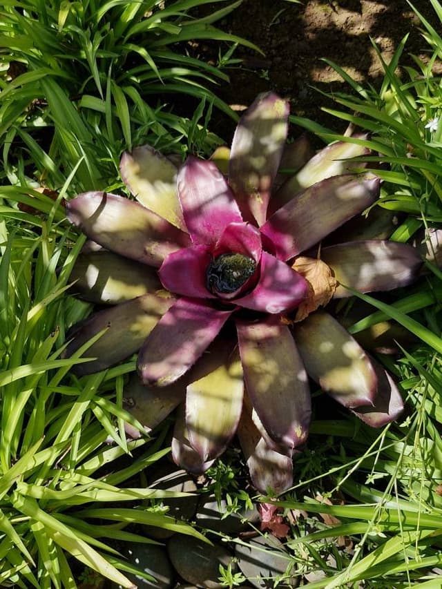 Photo 2 par VALERIE G. (10/01/26)