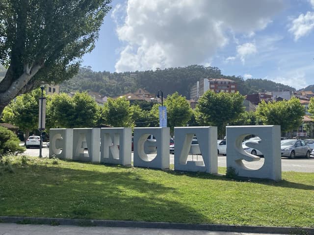 Photo 1 by WILMER L. about renting a Citroen C3 in Leon (6/18/24)