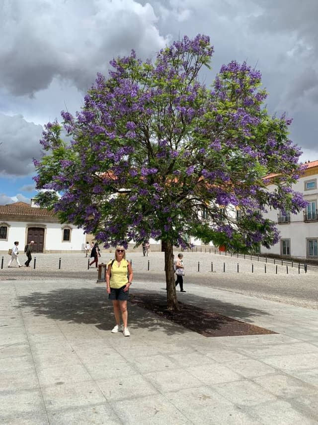 Photo 2 by Jane S. about hiring a Volkswagen T-Roc in Porto (24.06.24)