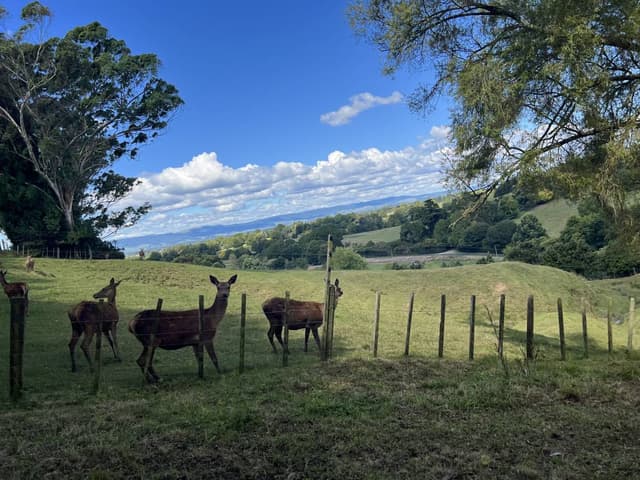 Foto 2 van Harry V. (10-3-26)