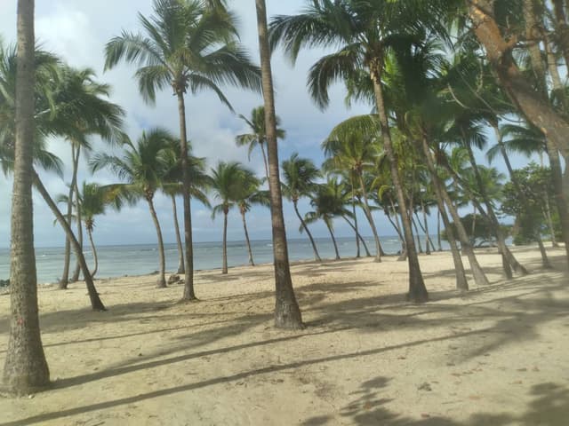 Photo 1 by Gordon S. about renting a Hyundai i10 in Pointe-a-Pitre (5/25/25)