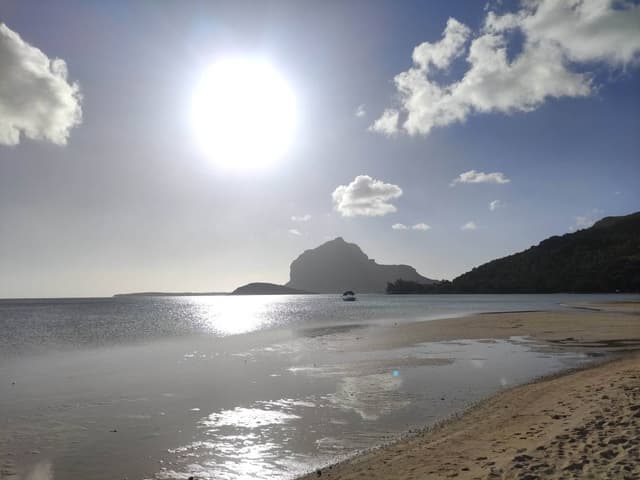 Photo 2 by Marius K. (7/7/25)