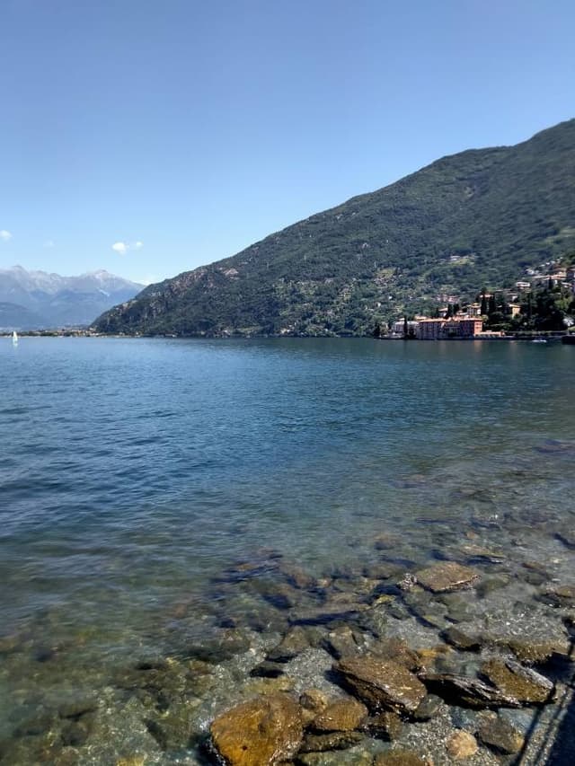 Billede 1 af andy wojtczak S. (7/12/23)