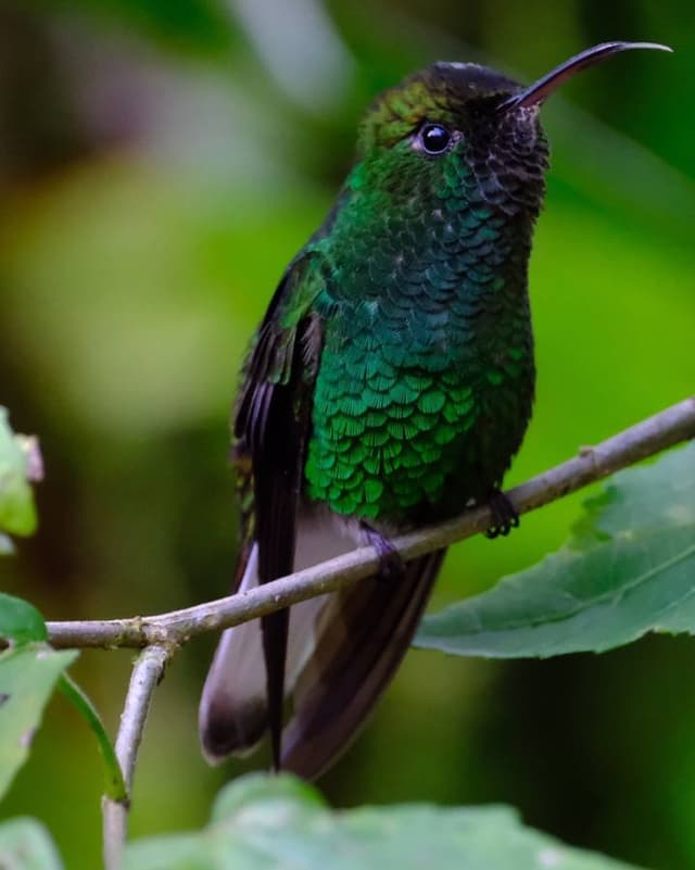 Foto 2 di Massimiliano C. (07/01/26)