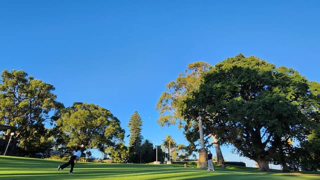 Younghwa P.의 사진 3 (25. 4. 13.)