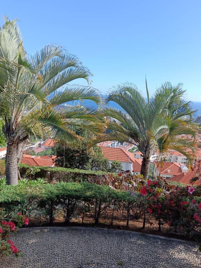 Photo 1 par Carlos Manuel D. (24/10/25)