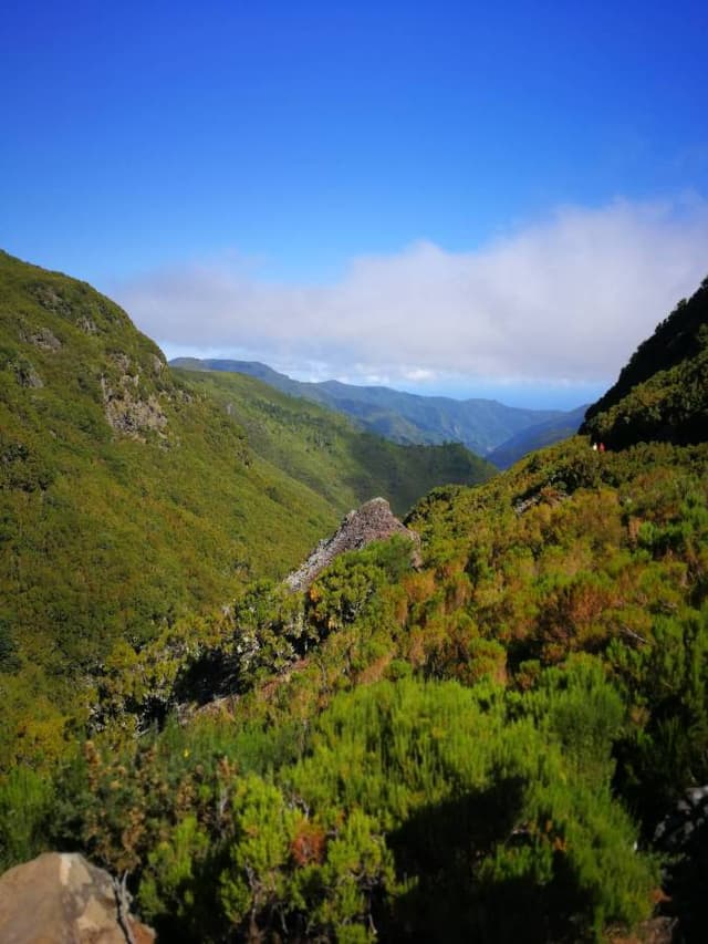 Photo 3 by Ravinder P. about hiring a Opel Corsa in Funchal (27/07/23)