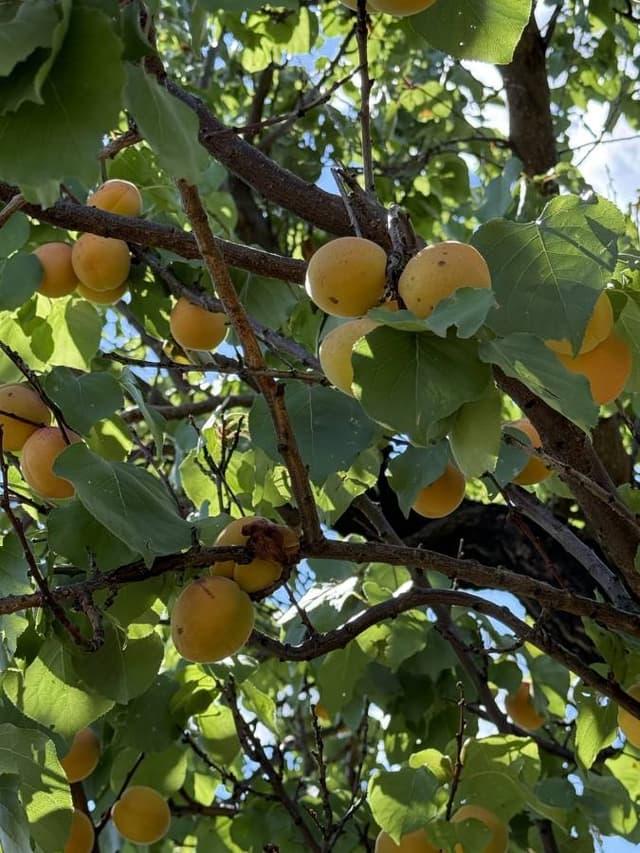 Foto 1 van Aernoud Jan D. (23-1-26)